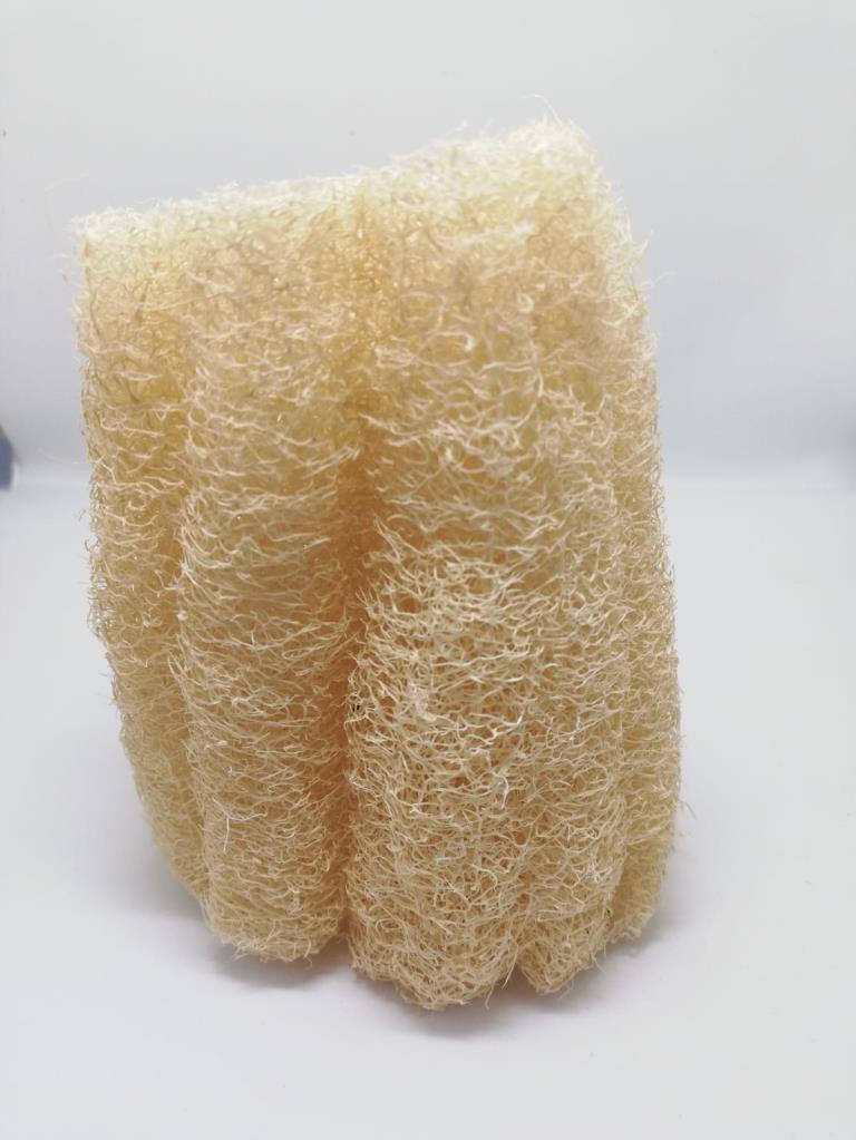 ESPONJA LUFFA